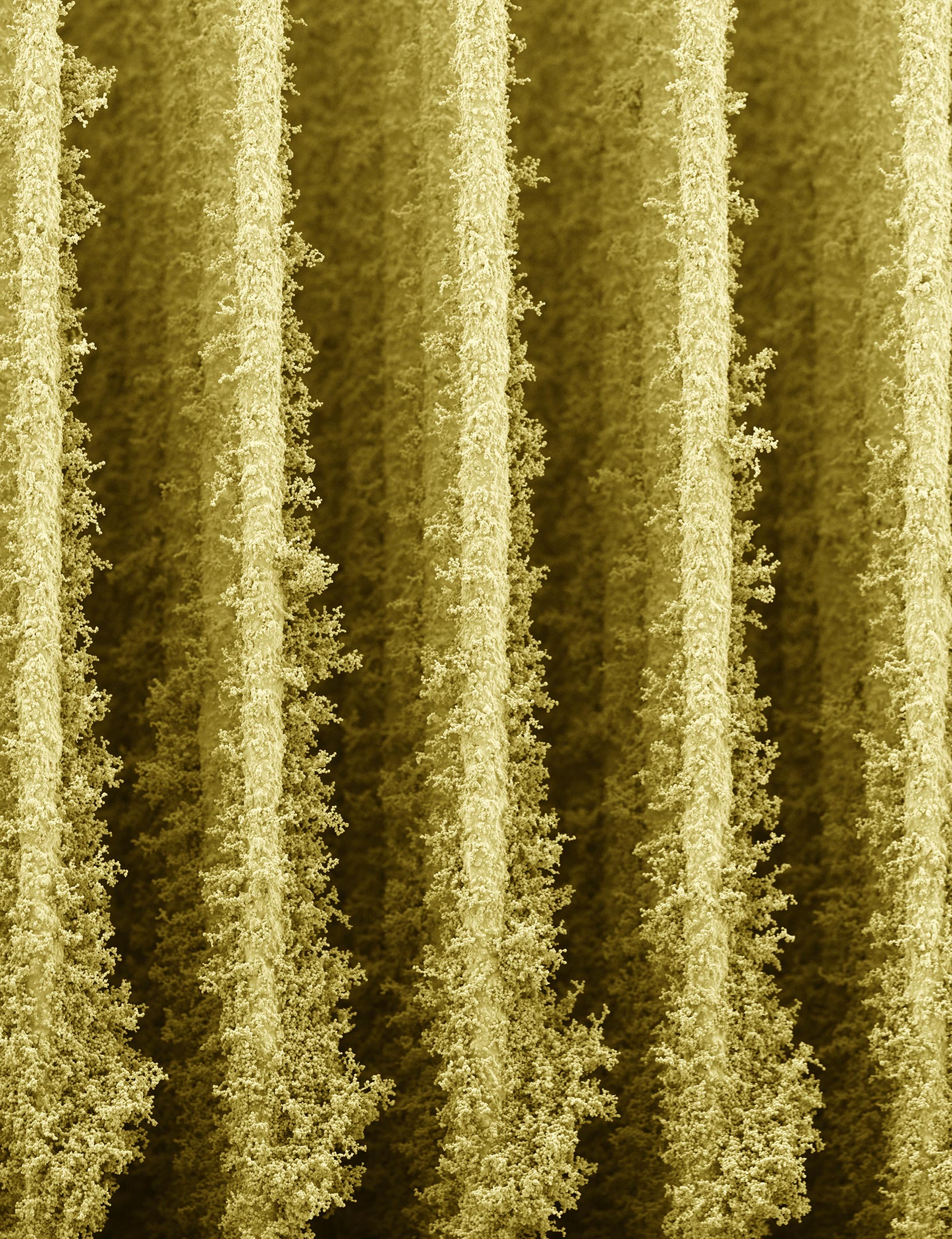 Cambrdige - Stampa 3D - Batteri