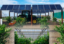 Symbyosyst, il progetto che combina intelligenza artificiale, fotovoltaico e agricoltura SYMBYOSIST