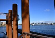 Quaderni di progettazione: calibrazione del modello di danneggiamento duttile Danneggiamento duttile