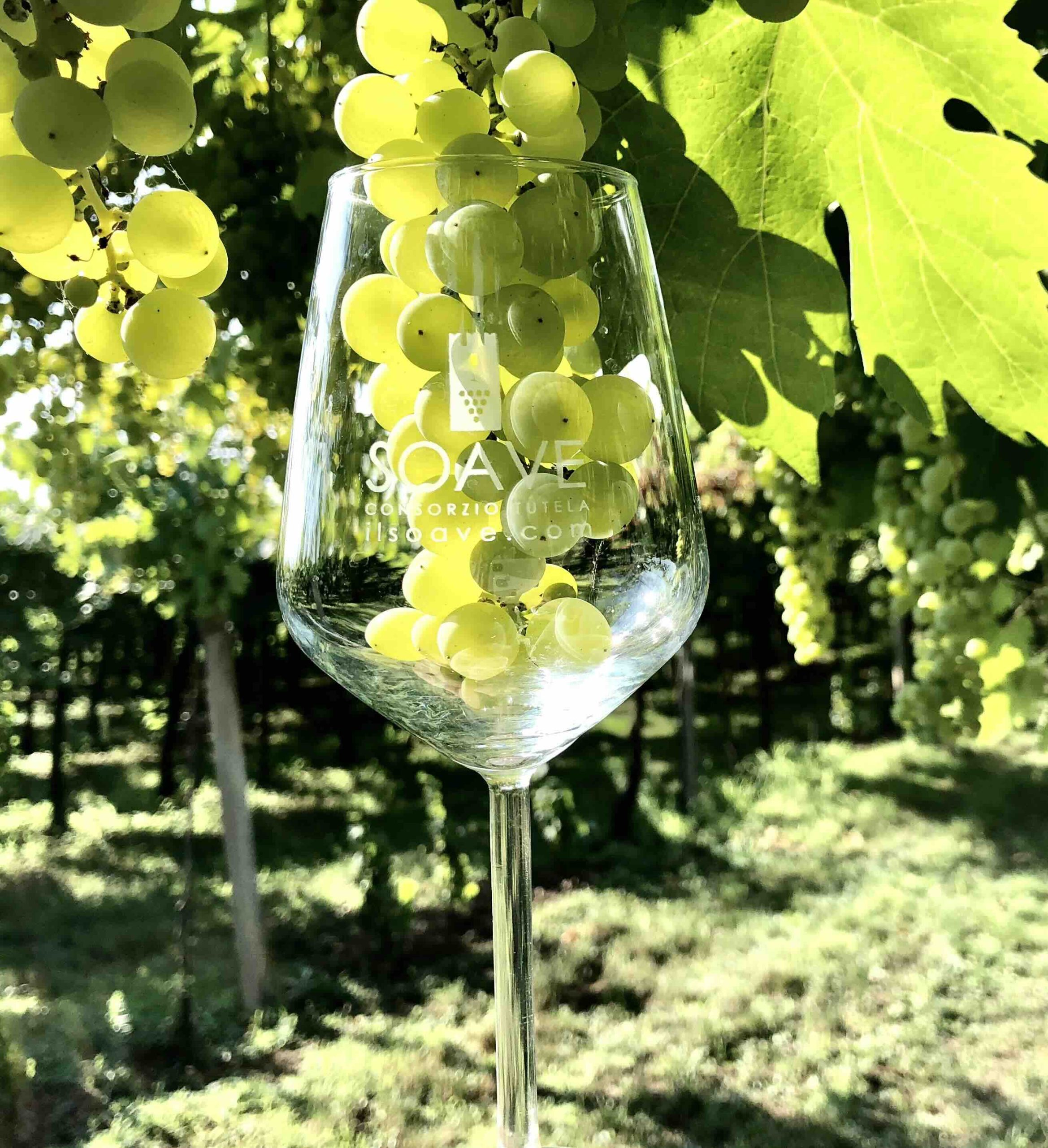 Soave