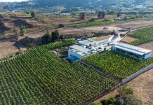 Tenuta di Castellaro: la cantina ipogea che imbottiglia l’anima di Lipari Tenuta di Castellaro