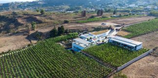 Tenuta di Castellaro