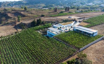 Tenuta di Castellaro: la cantina ipogea che imbottiglia l’anima di Lipari Tenuta di Castellaro