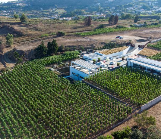Tenuta di Castellaro: la cantina ipogea che imbottiglia l’anima di Lipari Tenuta di Castellaro