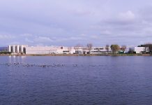 Filippo Berio (Salov S.p.A.) presenta il Report di Sostenibilità 2024 Salov SpA