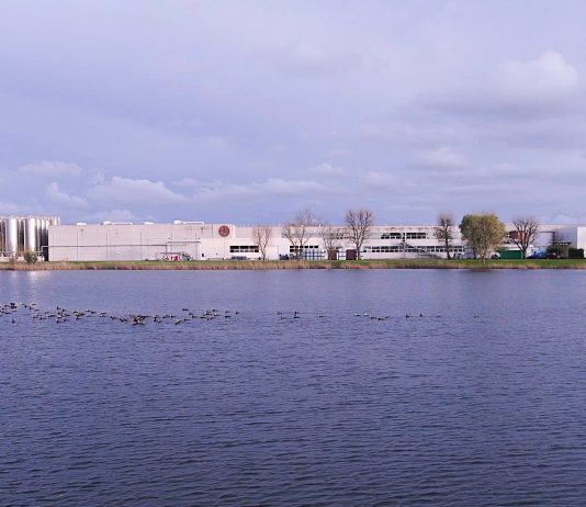 Filippo Berio (Salov S.p.A.) presenta il Report di Sostenibilità 2024 Salov SpA