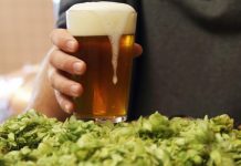 Harvest Beers 2025: ecco i vincitori Harvest Beers