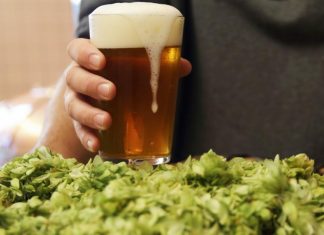 Harvest Beers 2025: ecco i vincitori Harvest Beers