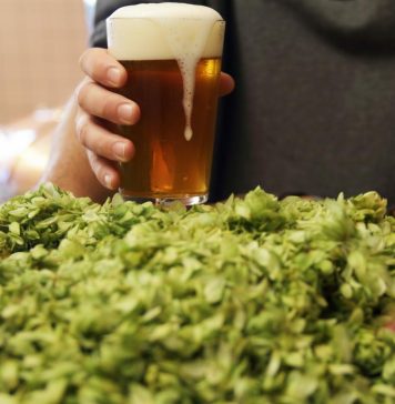 Harvest Beers 2025: ecco i vincitori Harvest Beers