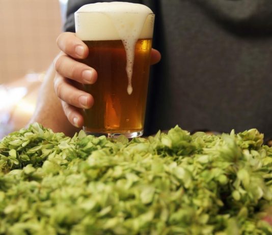 Harvest Beers 2025: ecco i vincitori Harvest Beers