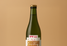 Le migliori birre artigianali da bere sotto l’albero di Natale XMAS Beers