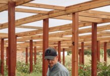 Bubble Bev. annuncia il vincitore del contest dedicato alle bevande analcoliche in grande formato Bubblebev.