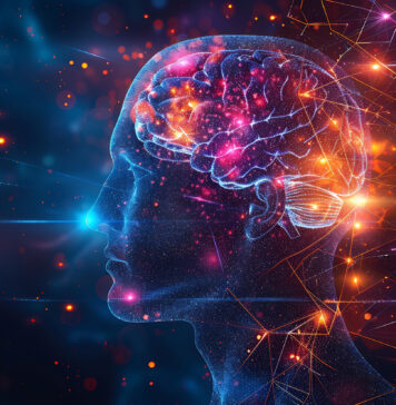 Vino e neuromarketing: l’alchimia del packaging che conquista neuromarketing