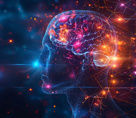 Vino e neuromarketing: l’alchimia del packaging che conquista neuromarketing