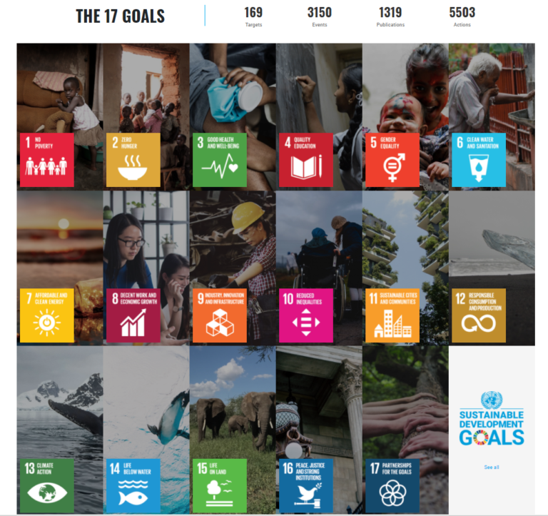 SVILUPPO SOSTENIBILE