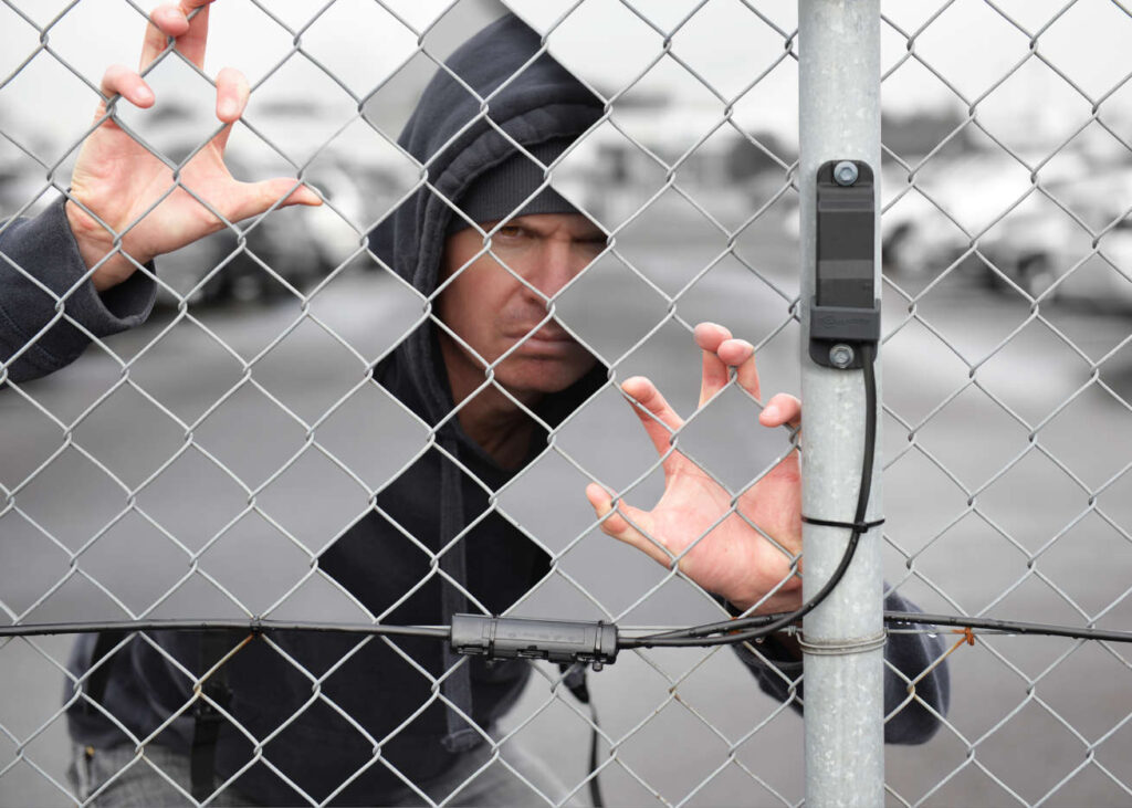 sicurezza perimetrale