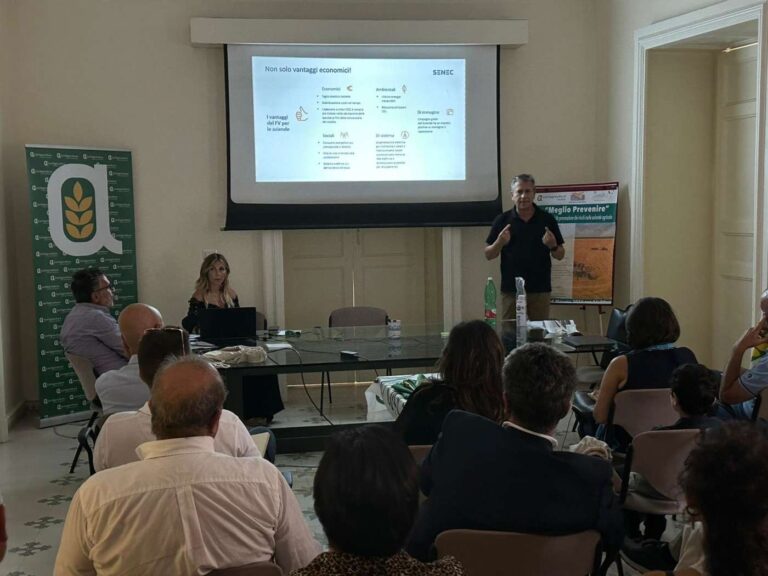 i vantaggi dell'agrivoltaico