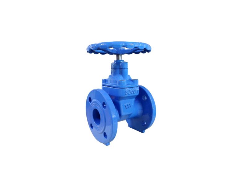 valvola a saracinesca