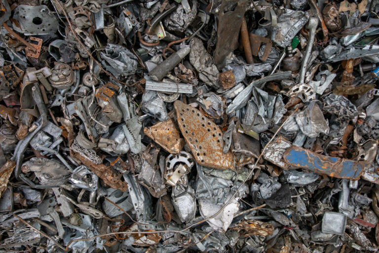 Giornata Mondiale dell’Ambiente 2025