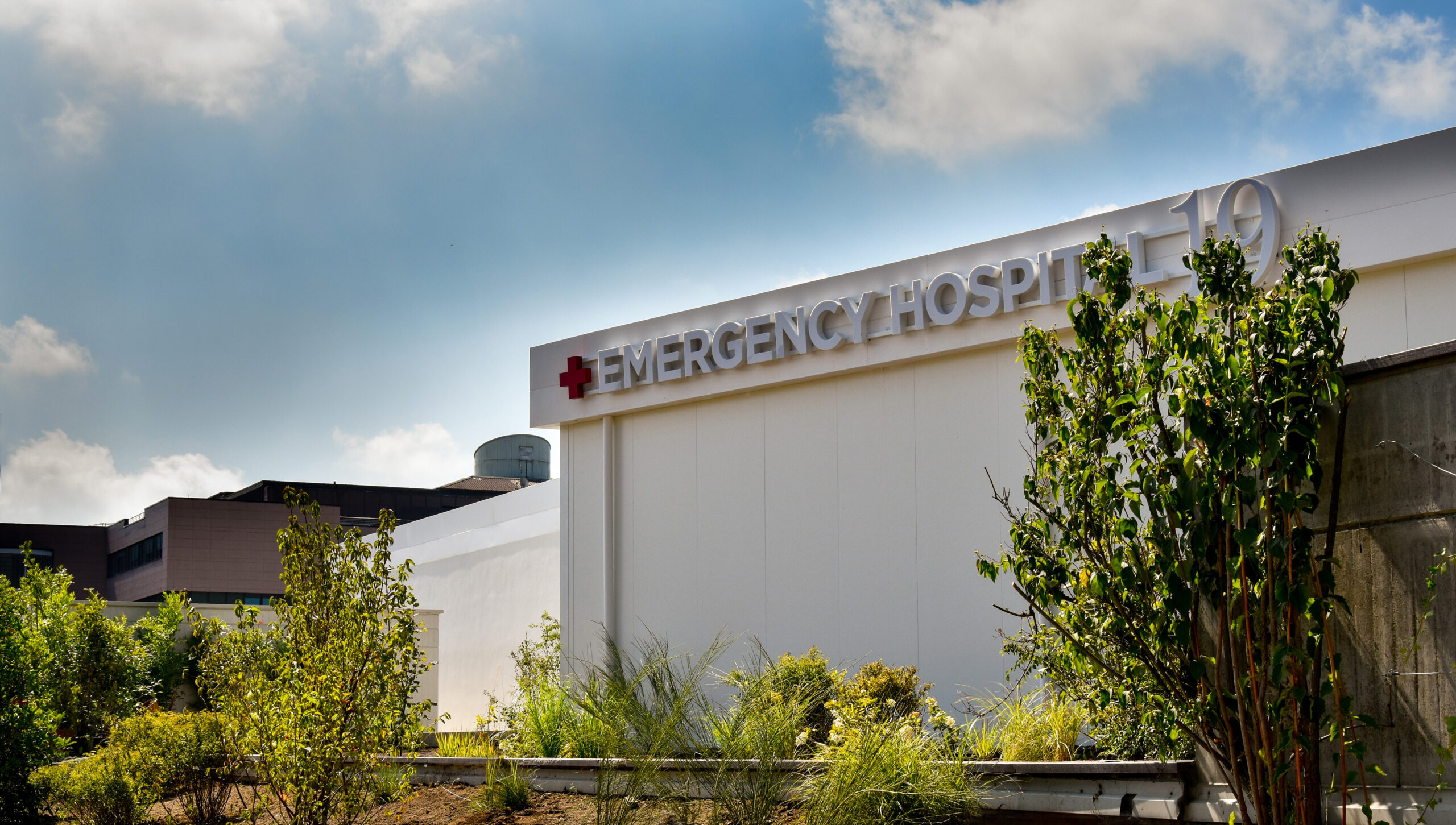 Emergency Hospital 19