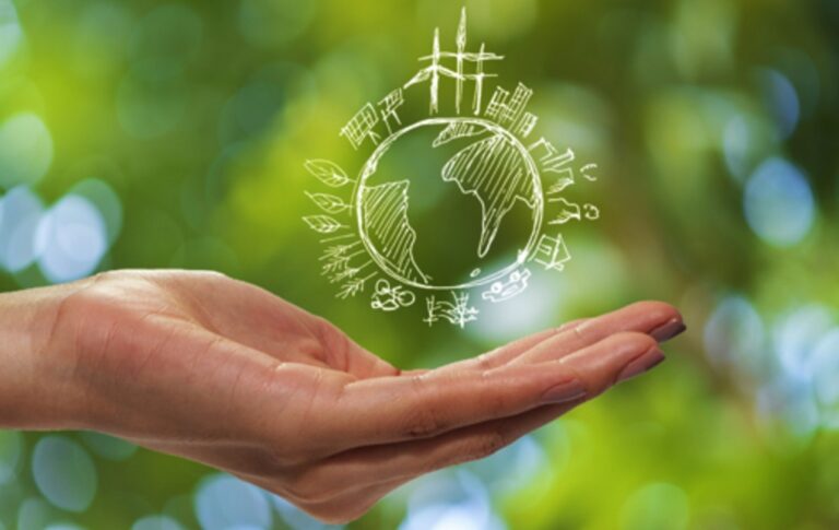 Sostenibilità e digitalizzazione