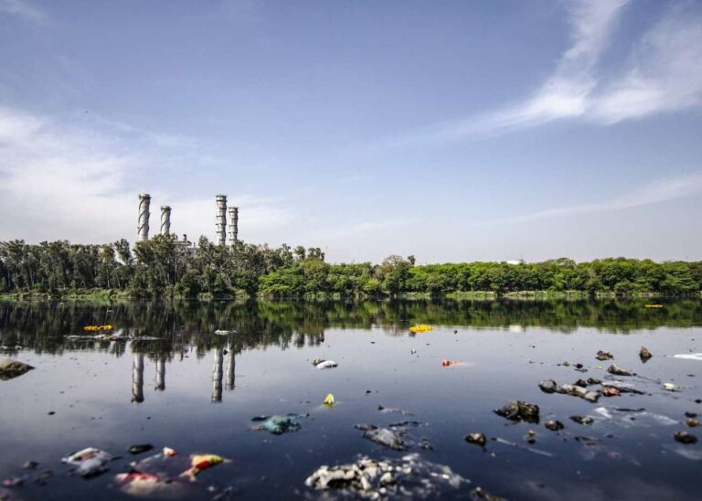 EMERITUS e PERIVALLON