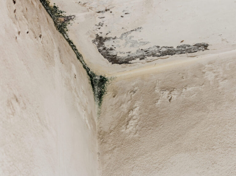 danni mancata manutenzione condominio