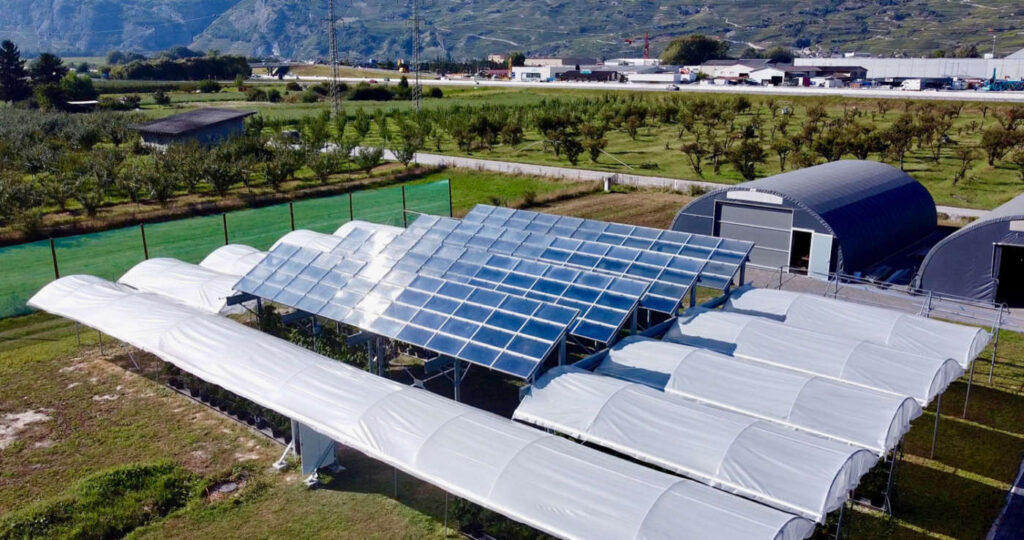 Agrivoltaico