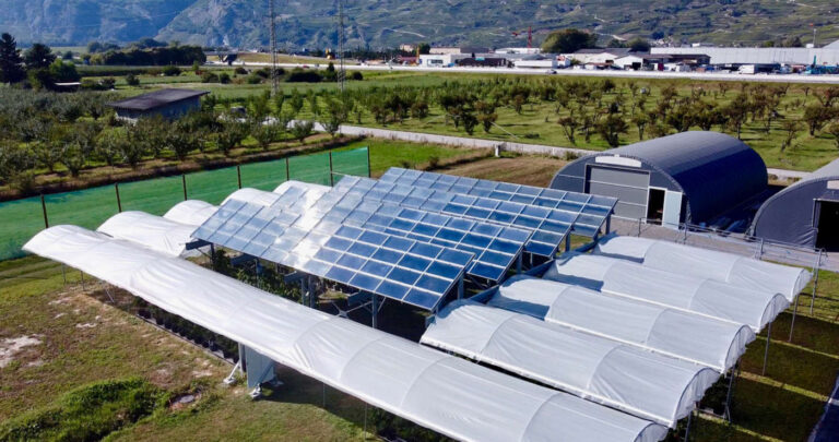 Agrivoltaico