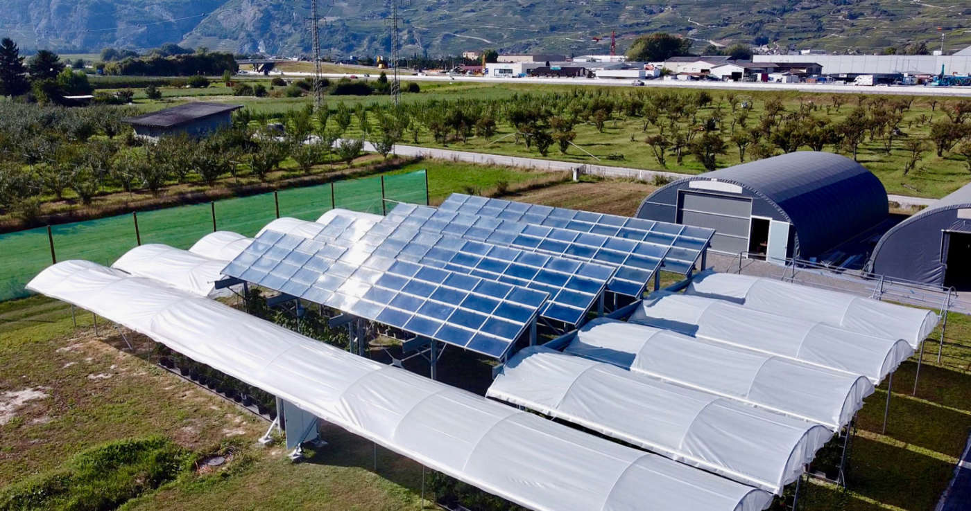Agrivoltaico