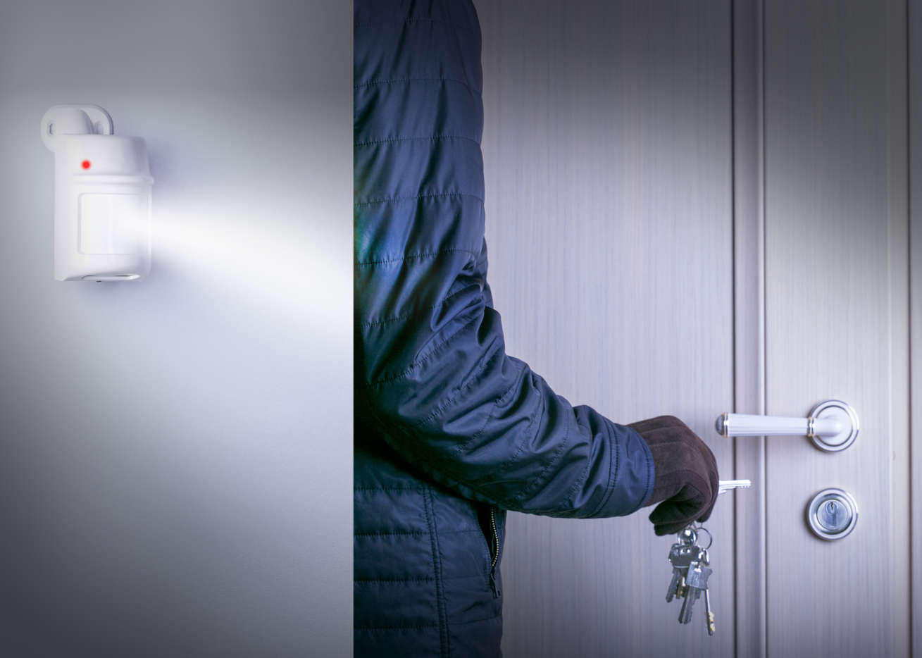 rilevatori di movimento