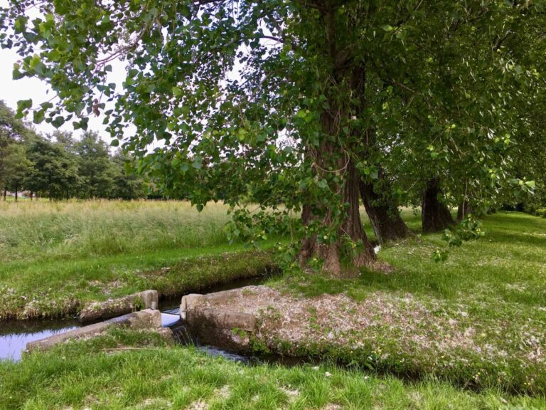 Progettare con la natura