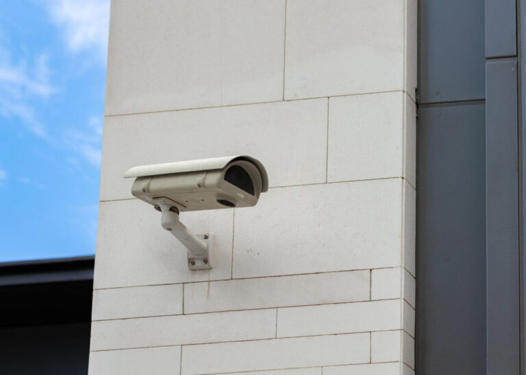 Accesso alle immagini registrate