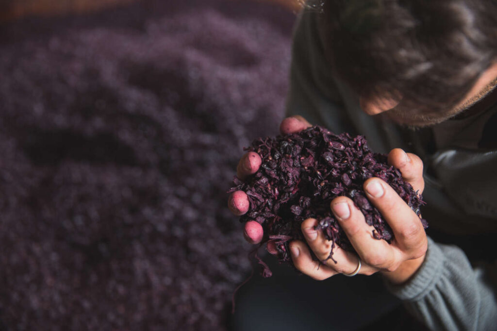 Distilleria al servizio dell'ambiente