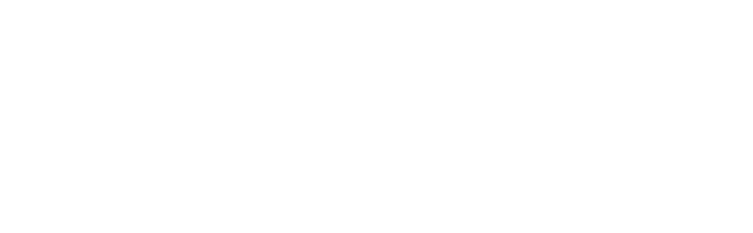 elettro-bianco
