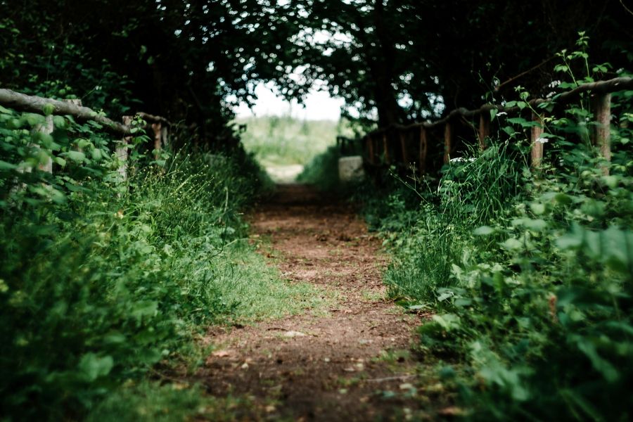 Inu su nature restoration law e direttiva case green