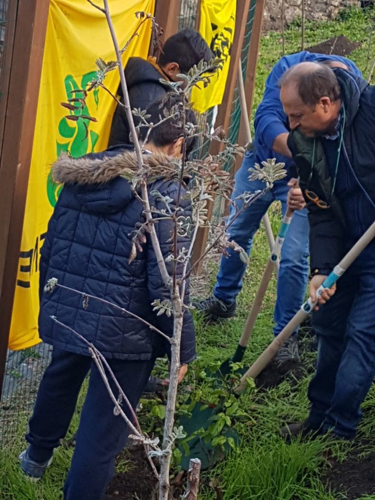 Festa dell’albero 2017, Federlegnoarredo e Assocarta insieme per la ricostruzione dei boschi italiani