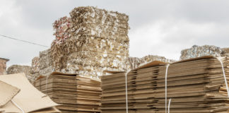 Green Economy: sfida per il territorio