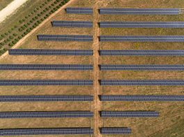 EDP Energia Italia, l’energia del sole bacia la transizione energetica