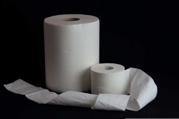 13276418-toilet-paper-4971710