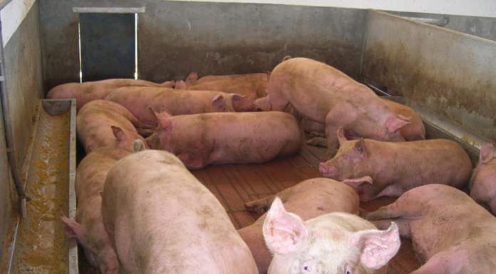 misure straordinarie