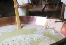 Grana Padano