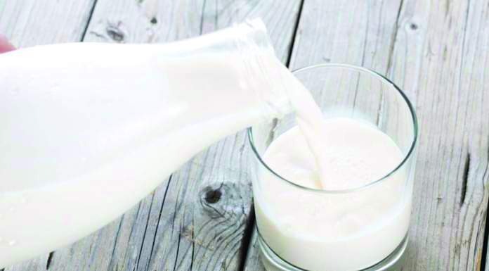 Prezzi Bmti, stabili burro, formaggi Dop e bovini. Ancora in calo il latte spot prezzi prodotti zootecnici