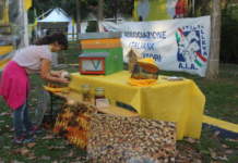 Api, riflettiamo su questo comparto vitale api