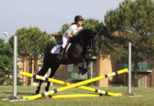cavallo Monterufolino