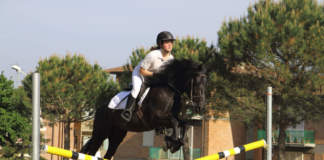 cavallo Monterufolino