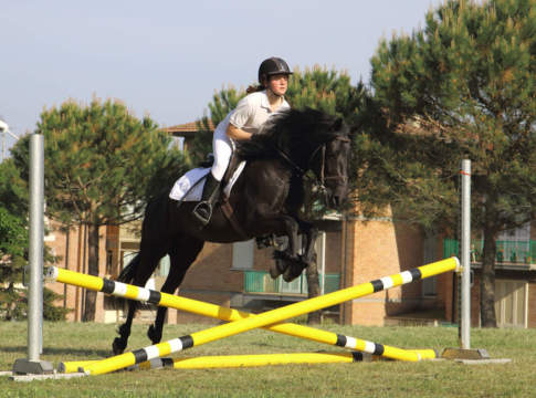 Cavallo, Confagricoltura: «Sia riconosciuto pienamente come parte dell’agricoltura» cavallo Monterufolino