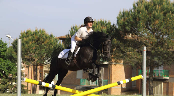cavallo Monterufolino