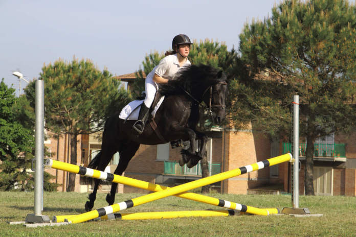 Aia_Informa_IZ_03_2021_PAGINE3e4__CavalloMonterufolino_foto2_sportive_299628;2_View cavallo Monterufolino