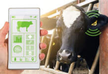 Per il latte big data e analisi avanzate dairysust